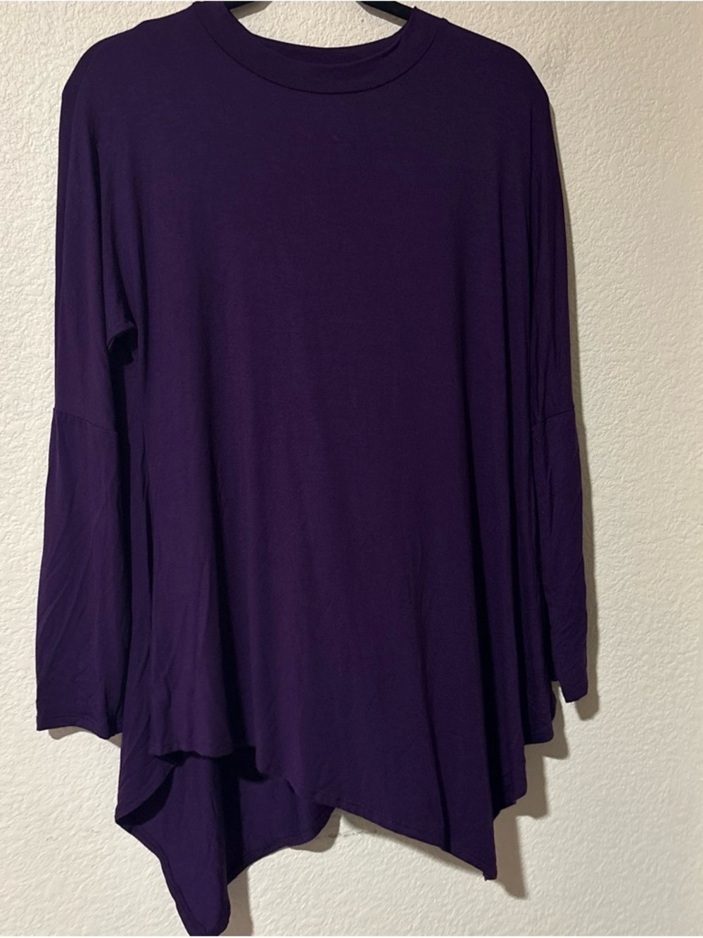 Azules Long Sleeve Asymmetric Hem Top in Plum
